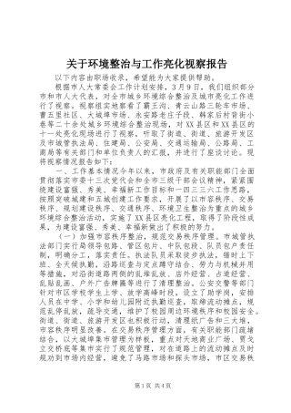 关于环境整治与工作亮化视察报告