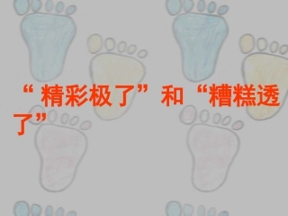 《“精彩极了”和“糟糕透了”》课件2