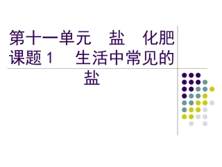 课题1　生活中常见的盐3