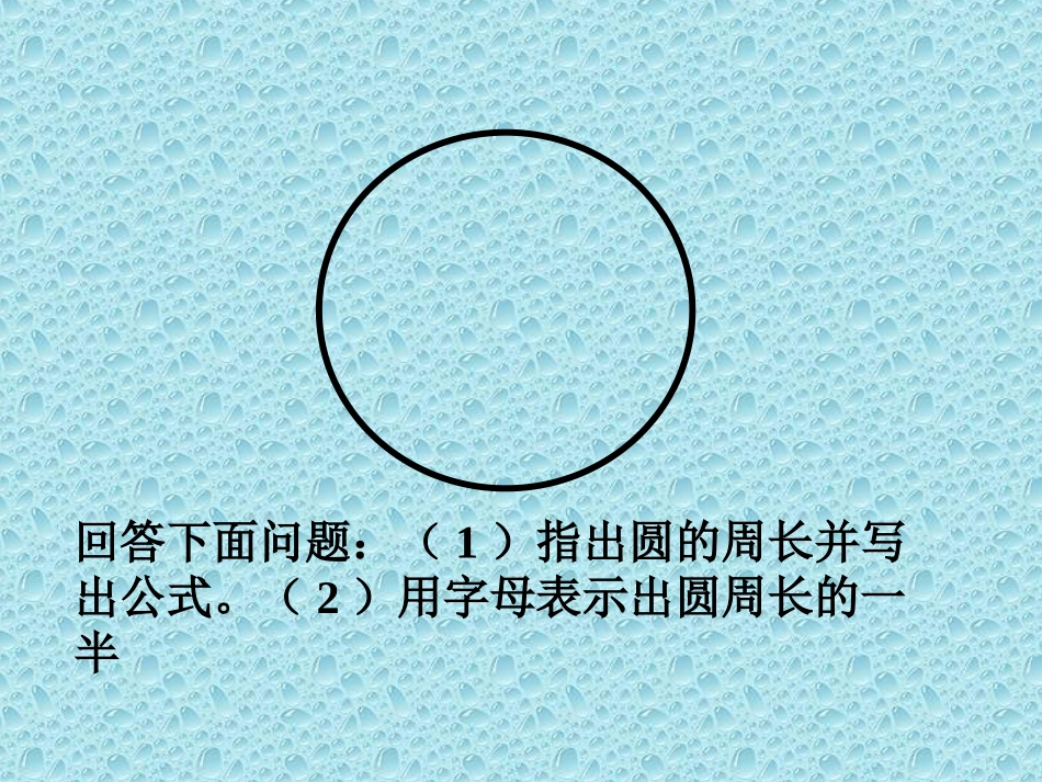 圆的面积 (4)_第3页