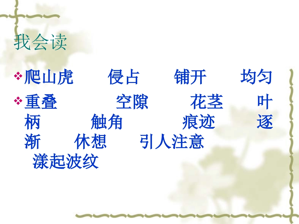 《爬山虎的脚》课件 (2)_第2页