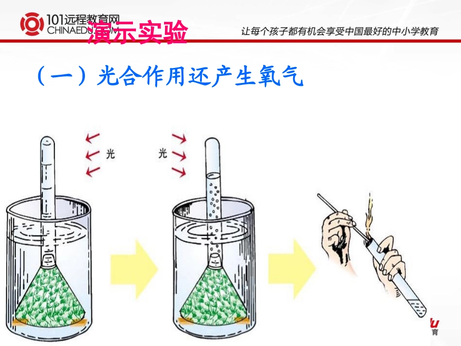 人教新课标版初中七上第五章绿色植物与生物圈中的碳氧平衡课件3_第3页