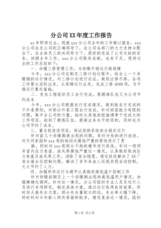 分公司XX年度工作报告