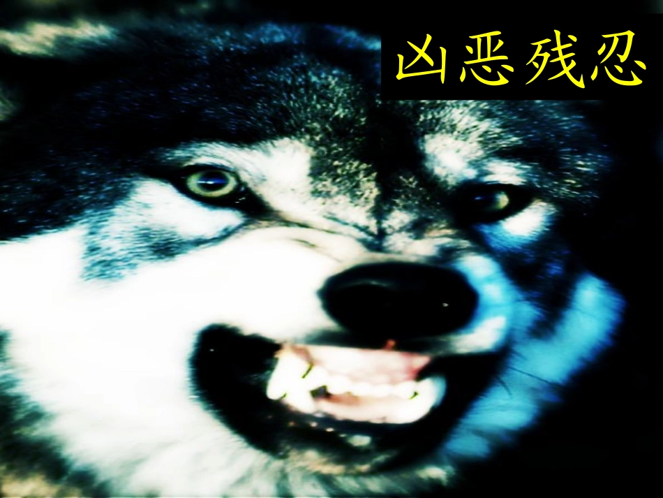 《鹿和狼的故事》课件 (2)_第1页
