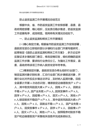 防止返贫监测工作开展情况总结范文