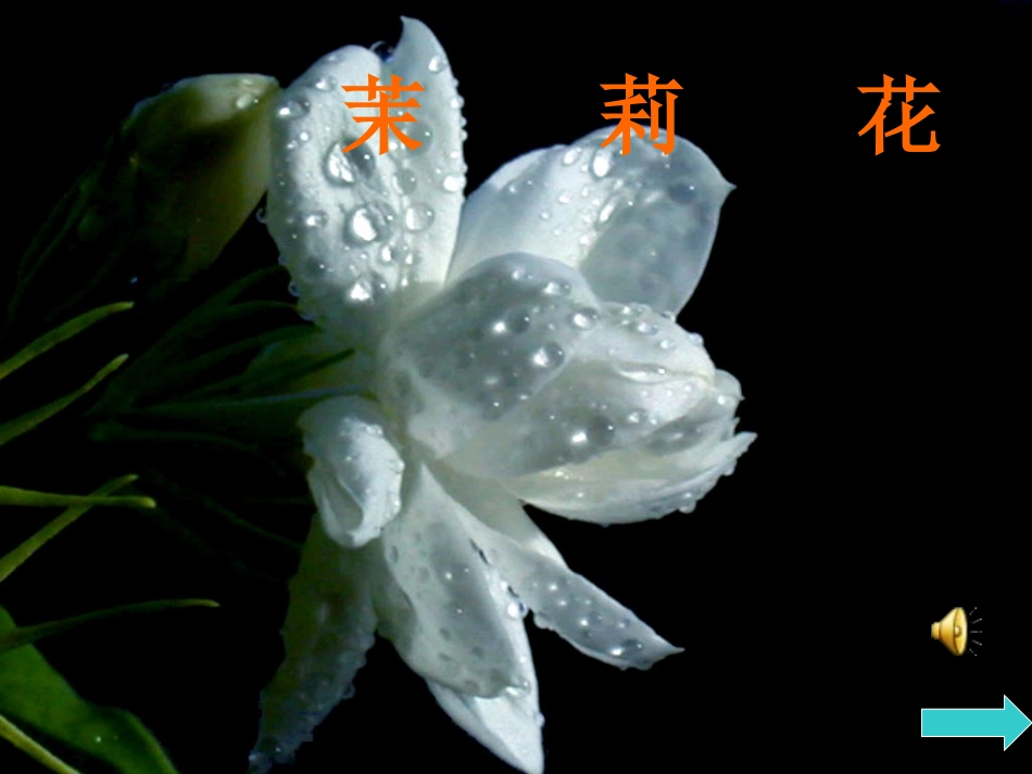 飘逸的南国风_第2页