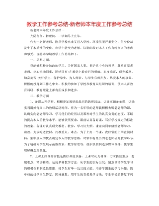 教学工作参考总结新教师本年度工作参考总结