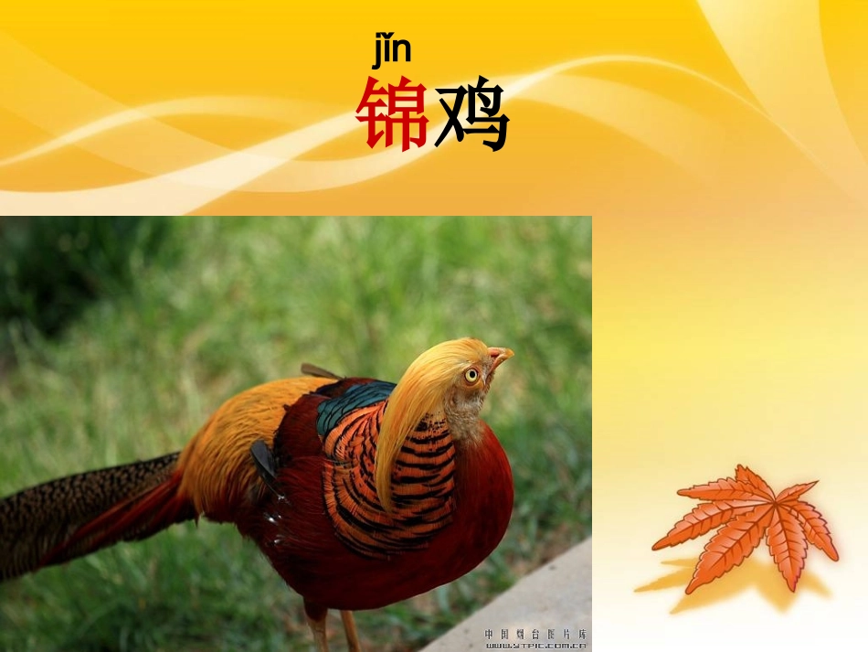 二年级上第7组识字7PPT_第2页