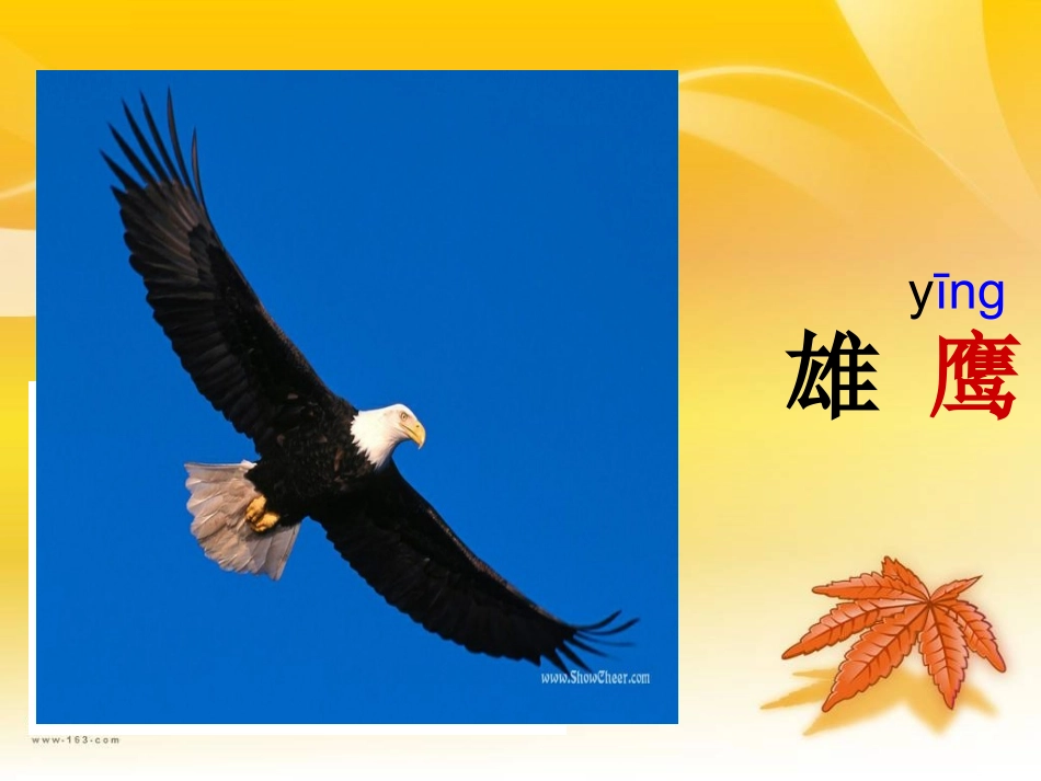 二年级上第7组识字7PPT_第3页