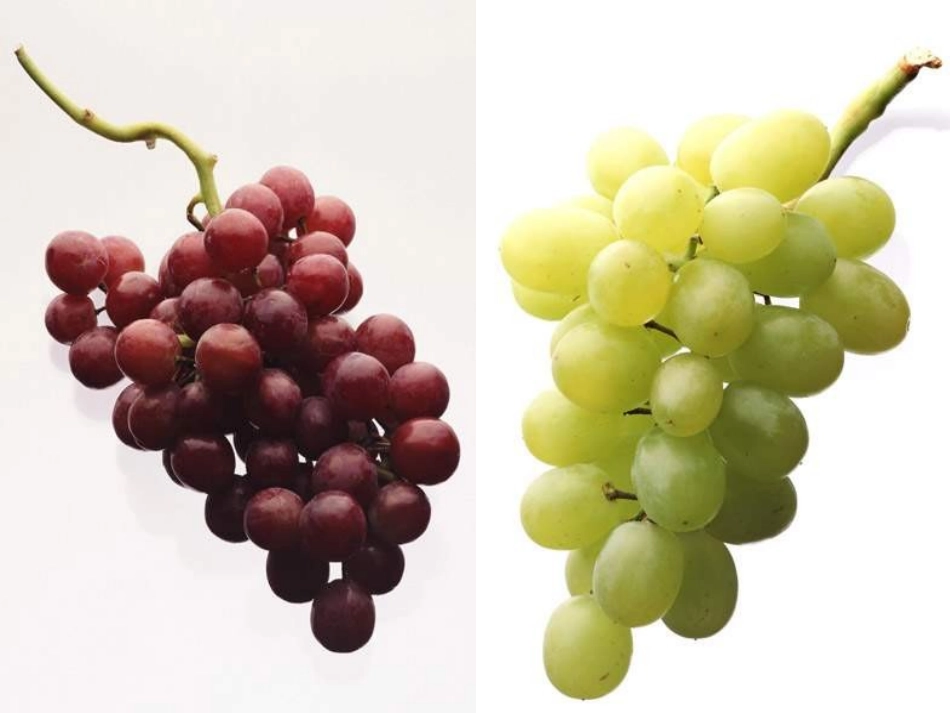 八年级生物《生物的变异》课件_第2页