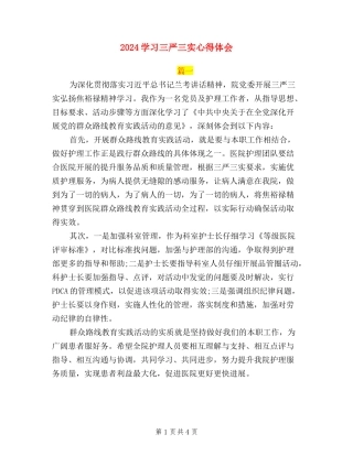 2024学习三严三实心得体会1000字