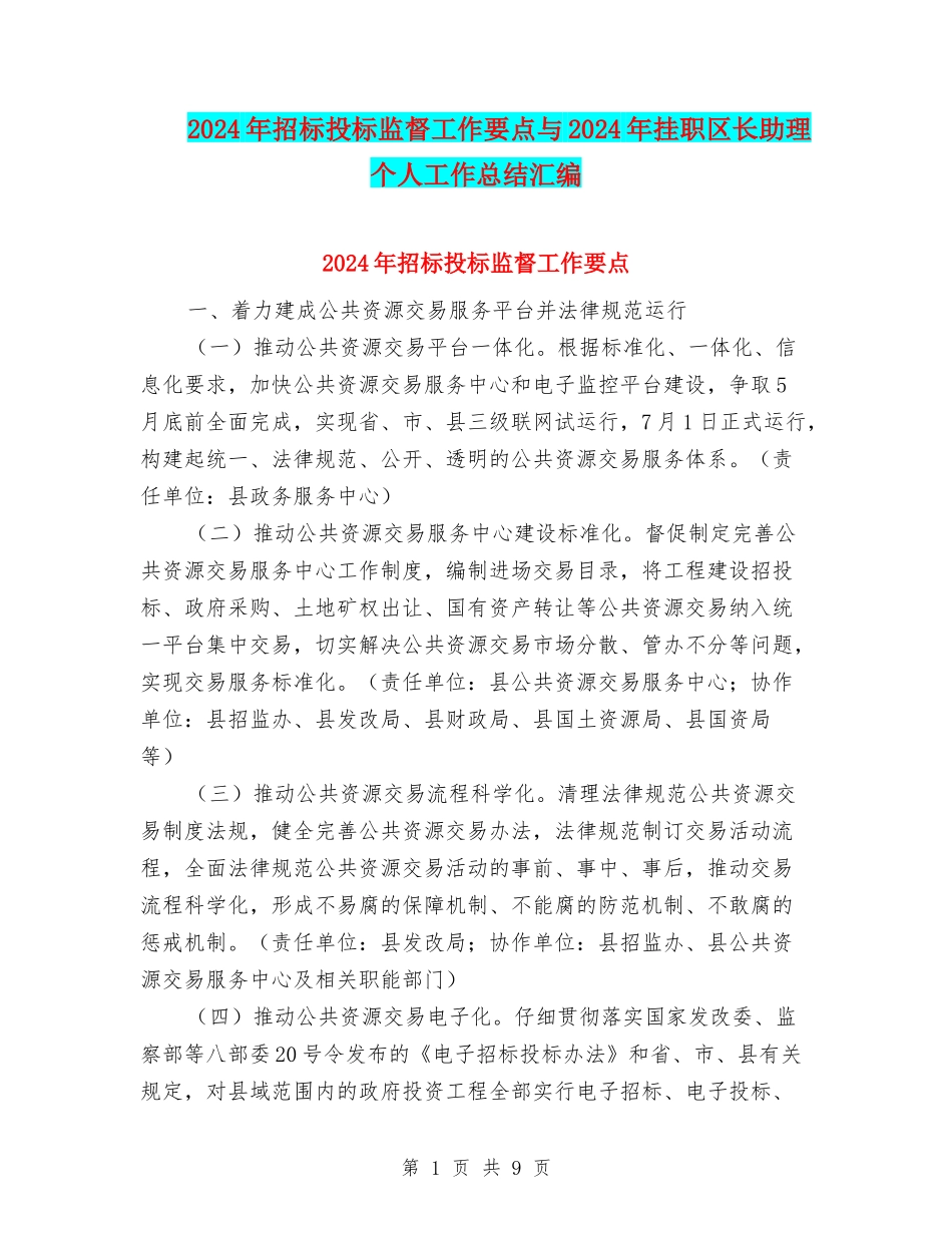 2024年招标投标监督工作要点与2024年挂职区长助理个人工作总结汇编_第1页