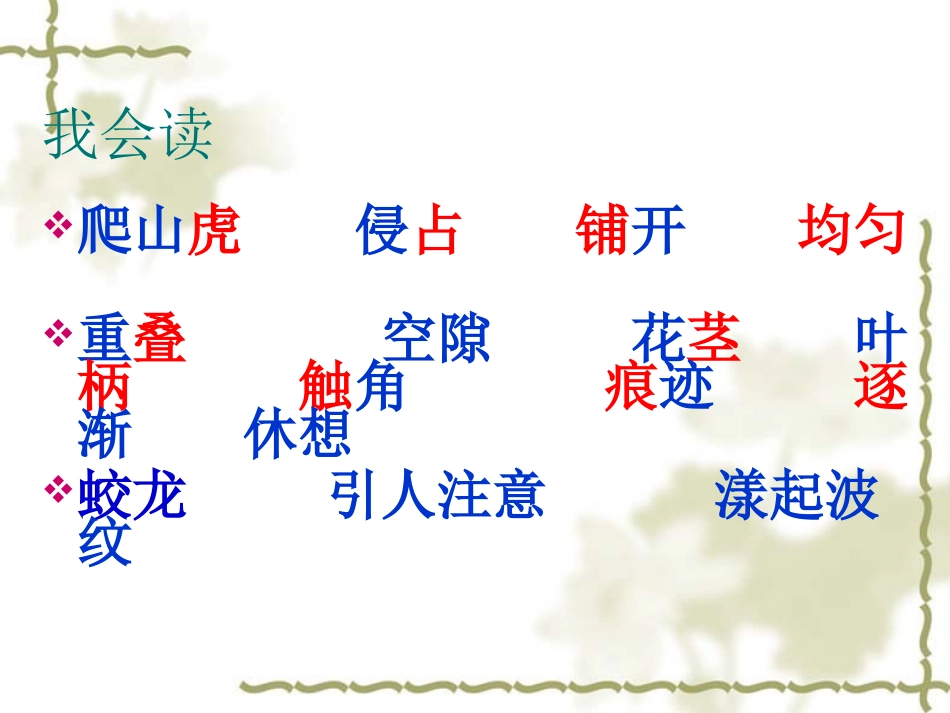 《爬山虎的脚》课件 (3)_第3页