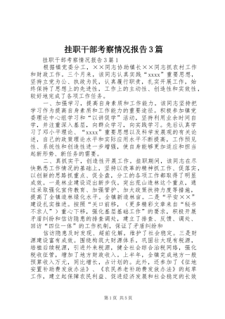 挂职干部考察情况报告3篇