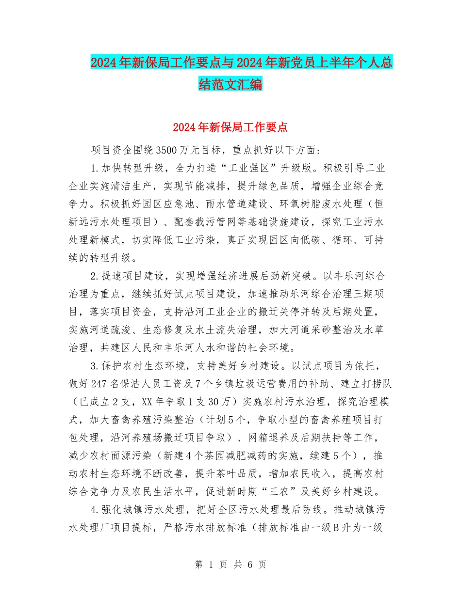 2024年新保局工作要点与2024年新党员上半年个人总结范文汇编_第1页