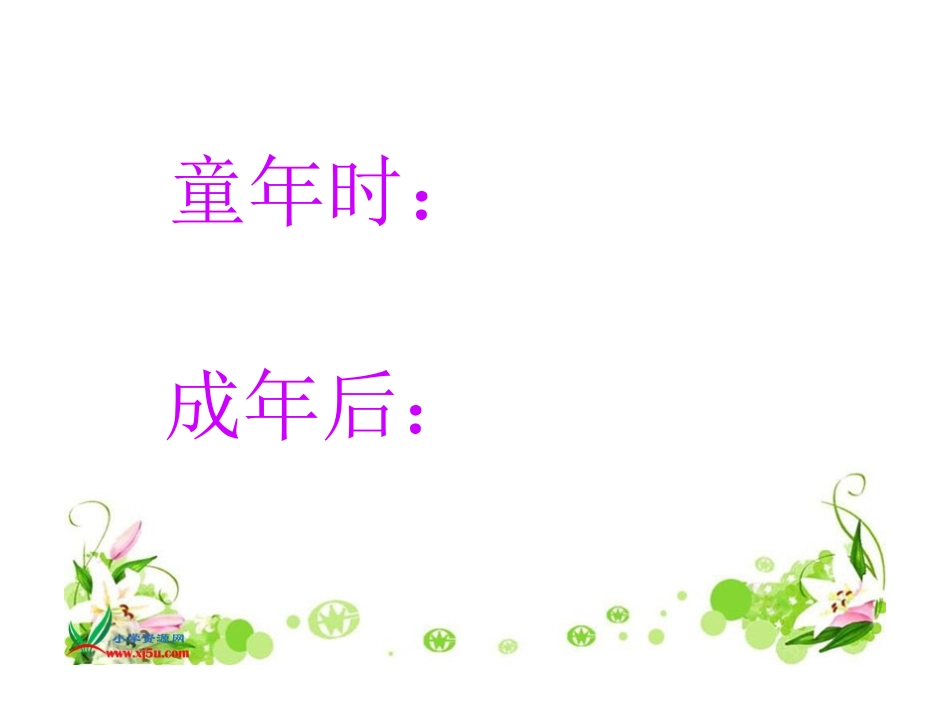 花边饺子里的爱_第2页