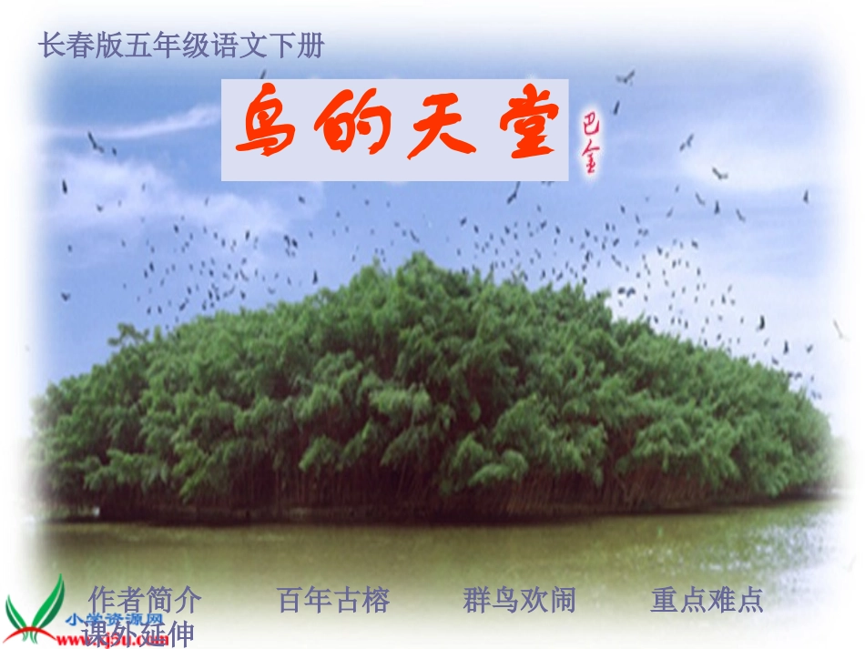 长春版语文五年级下册《鸟的天堂》课件_第1页