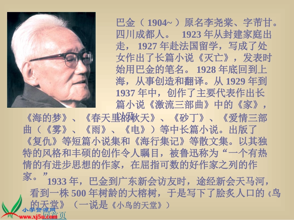 长春版语文五年级下册《鸟的天堂》课件_第2页