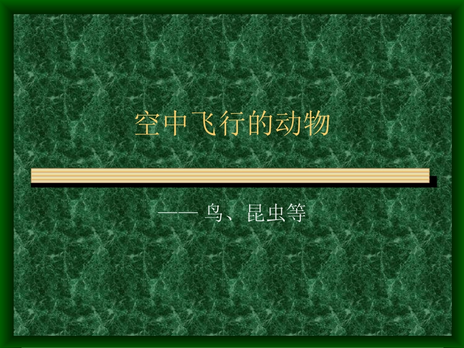 八年级生物《空中飞行的动物》PPT课件_第1页