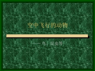 八年级生物《空中飞行的动物》PPT课件