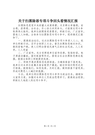 关于扫黑除恶专项斗争回头看情况汇报