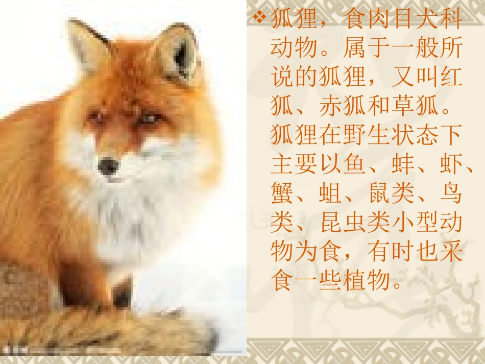 长春版二年级语文上册《乌鸦和狐狸》_第2页