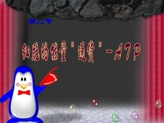 生物：52《细胞的能量“通货”─ATP》课件（新人教版必修1）