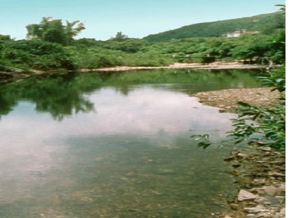 《清清的溪水》课件沈丘(语文S版二年级语文上册课件)_第2页