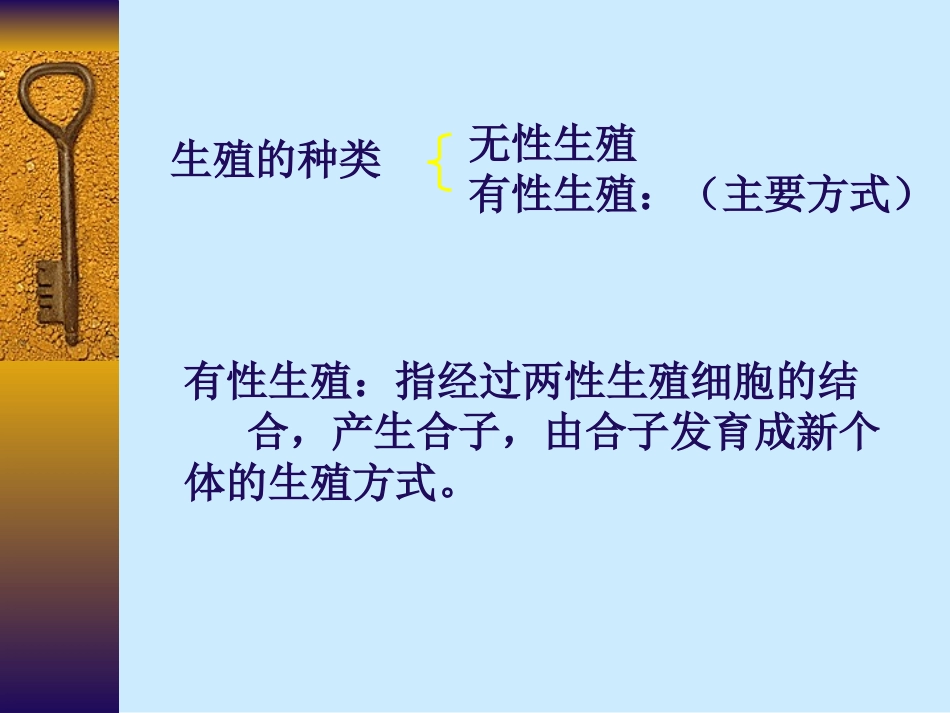 高一生物减数分裂和受精作用课件_第2页