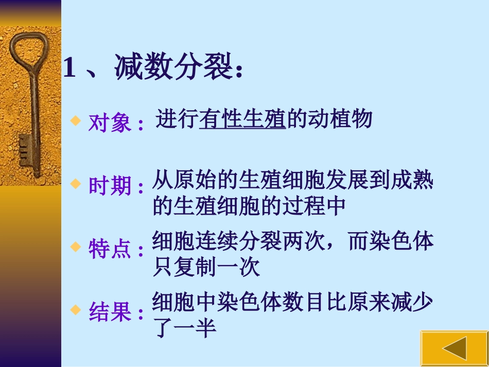 高一生物减数分裂和受精作用课件_第3页