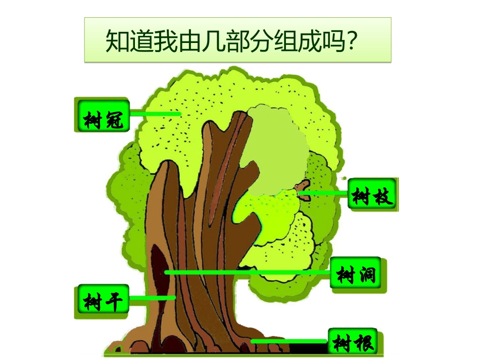 二年级大树的故事_第2页