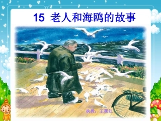 老人和海鸥的故事1