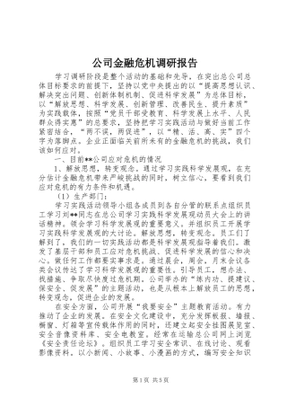 公司金融危机调研报告