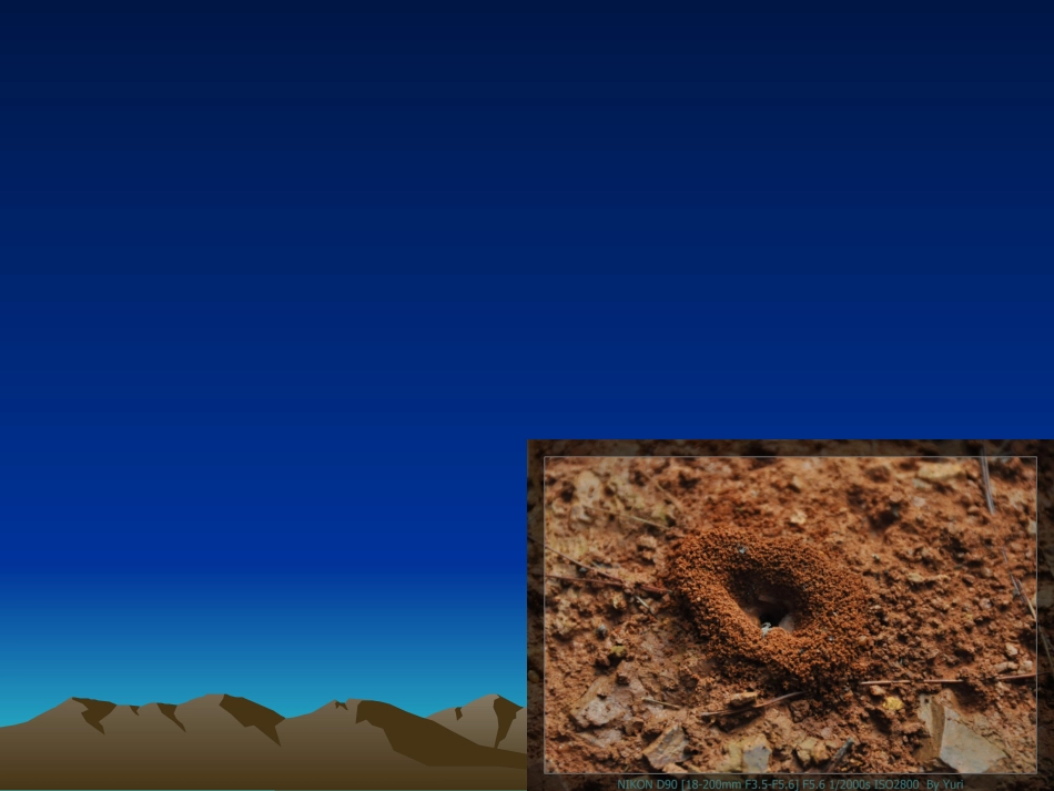 八年级政治上册千里之堤溃于蚁穴课件教科版_第1页