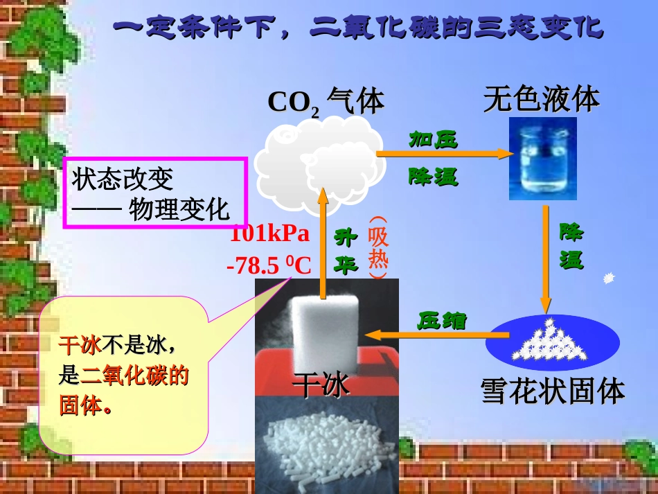 二氧化碳的性质_第3页