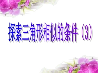 探索三角形相似的条件3