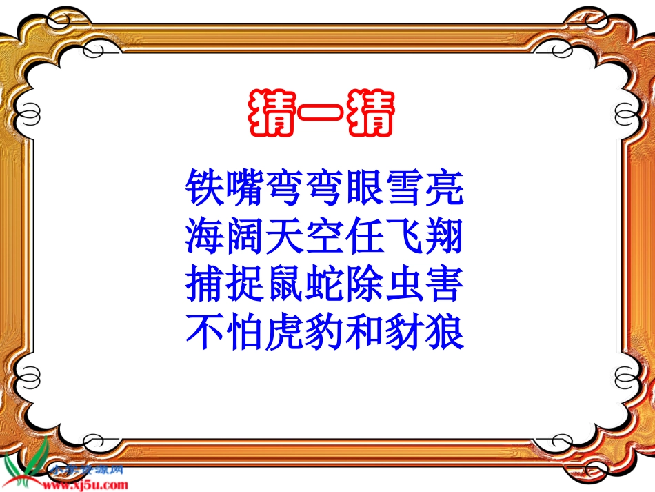 （苏教版）二年级语文上册课件小鹰学飞_第1页