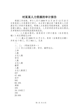 对某某人力资源的审计报告