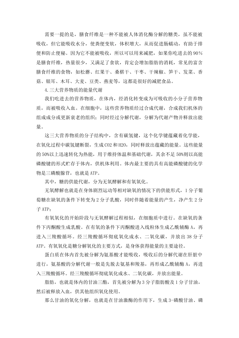 身体内的能量代谢与能量消耗_第3页