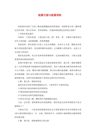 身体内的能量代谢与能量消耗