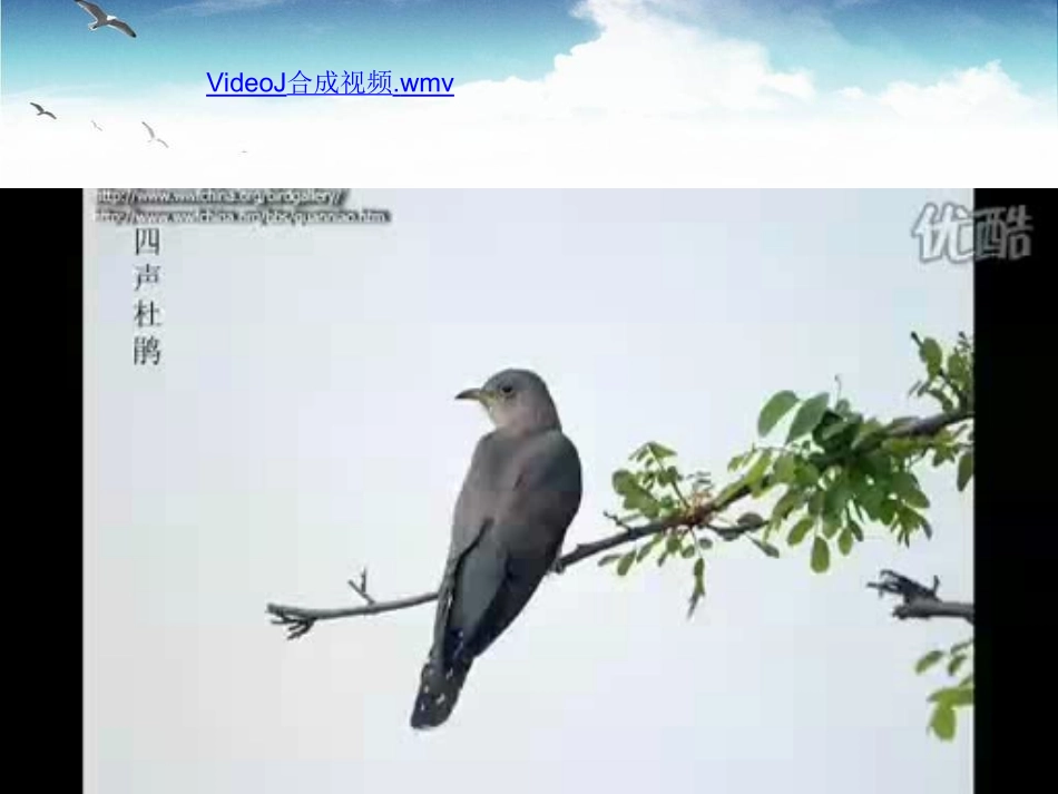 德涅泊尔课件_第2页