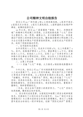 公司精神文明自检报告