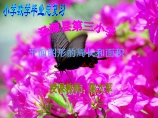 总复习平面图形的周长和面积