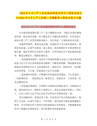 2024年8月三严三实忠诚干净担当学习心得体会范文与2024年8月三严三实第二专题教育心得体会范文汇编