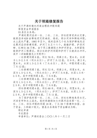 关于坝堤修复报告