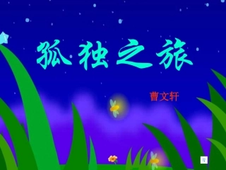 《孤独之旅》课件12