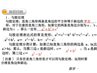 勾股定理的复习