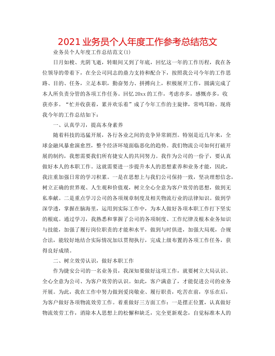 业务员个人年度工作参考总结范文_第1页