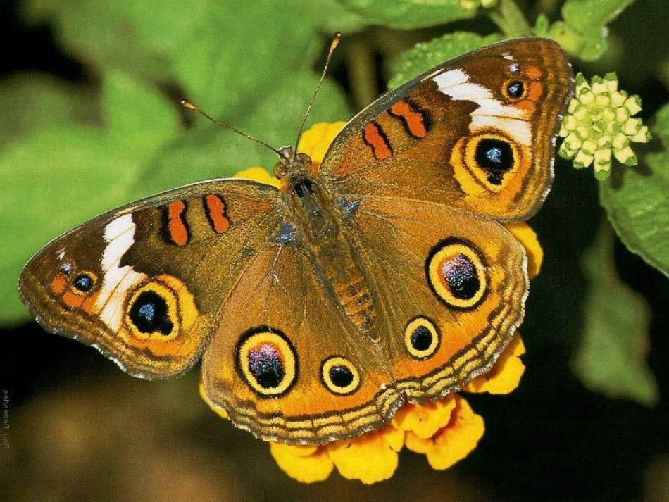 全等三角形 (2)_第3页