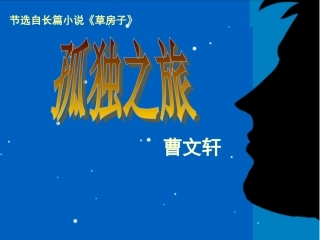 课件《孤独之旅》